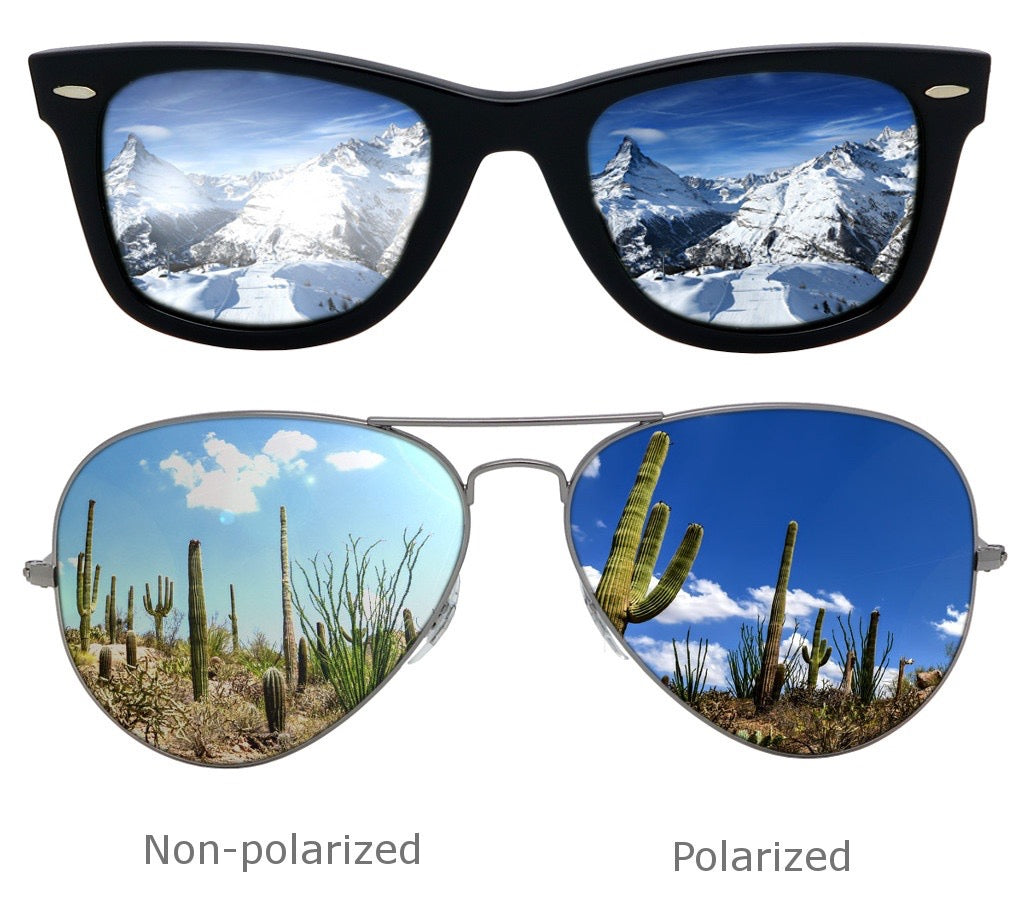 Progressive Polarised Lenses